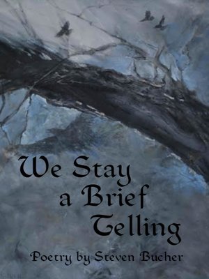 cover image of We Stay a Brief Telling